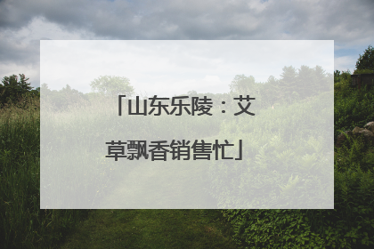 山东乐陵：艾草飘香销售忙