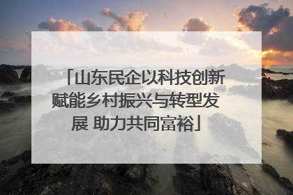 山东民企以科技创新赋能乡村振兴与转型发展 助力共同富裕