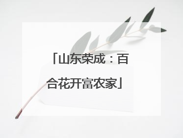 山东荣成：百合花开富农家