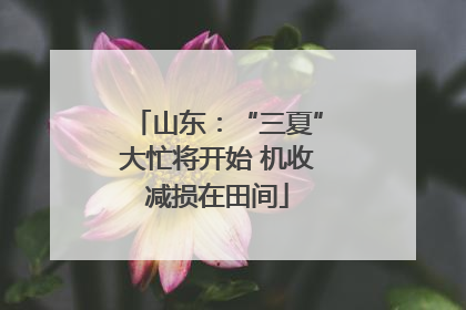 山东：“三夏”大忙将开始 机收减损在田间