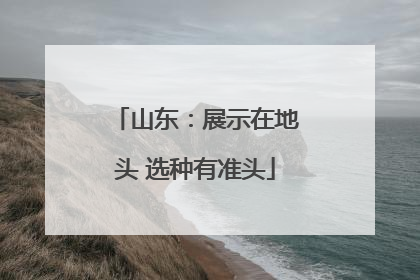 山东：展示在地头 选种有准头