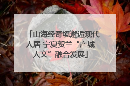 山海经奇境邂逅现代人居 宁夏贺兰“产城人文”融合发展