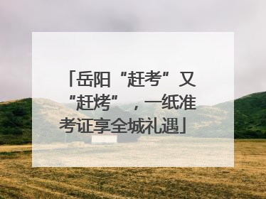 岳阳“赶考”又“赶烤”，一纸准考证享全城礼遇