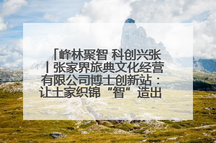 峰林聚智 科创兴张丨张家界旅典文化经营有限公司博士创新站：让土家织锦“智”造出非遗新传奇
