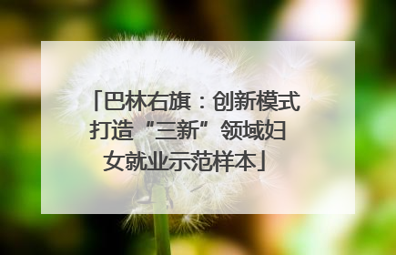 巴林右旗：创新模式 打造“三新”领域妇女就业示范样本