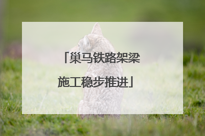 巢马铁路架梁施工稳步推进
