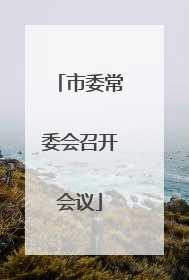 市委常委会召开会议