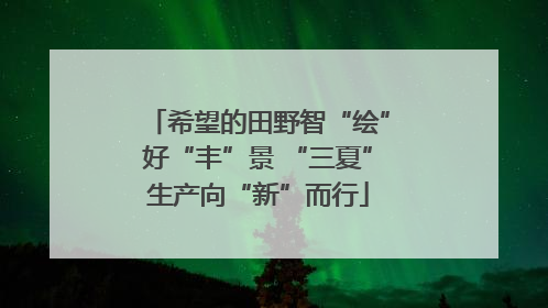 希望的田野智“绘”好“丰”景 “三夏”生产向“新”而行