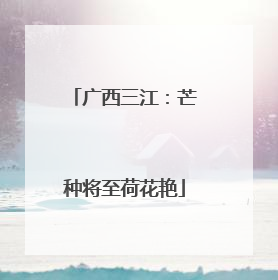 广西三江：芒种将至荷花艳