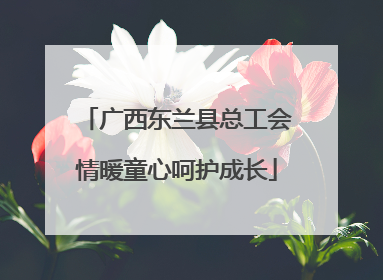 广西东兰县总工会情暖童心呵护成长