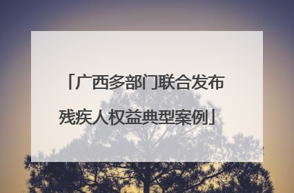 广西多部门联合发布残疾人权益典型案例