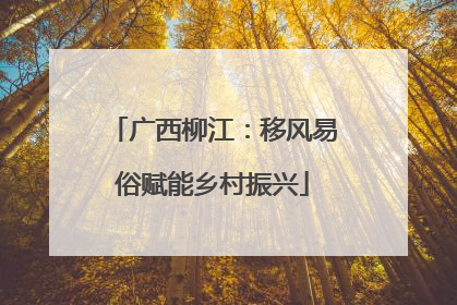 广西柳江：移风易俗赋能乡村振兴