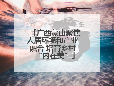 广西蒙山聚焦人居环境和产业融合 培育乡村“内在美”