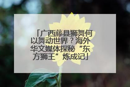 广西藤县狮舞何以舞动世界？海外华文媒体探秘“东方狮王”炼成记