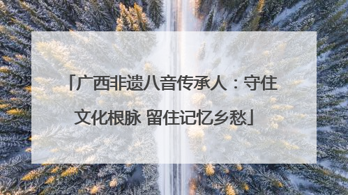 广西非遗八音传承人：守住文化根脉 留住记忆乡愁