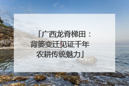 广西龙脊梯田：背篓变迁见证千年农耕传统魅力