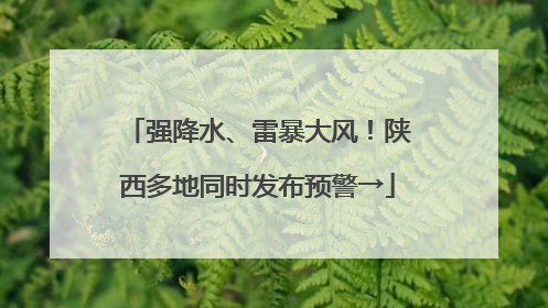 强降水、雷暴大风！陕西多地同时发布预警→