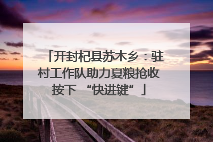 开封杞县苏木乡：驻村工作队助力夏粮抢收按下 “快进键”