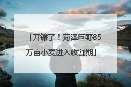 开镰了！菏泽巨野85万亩小麦进入收割期