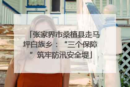 张家界市桑植县走马坪白族乡：“三个保障”筑牢防汛安全堤