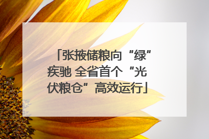 张掖储粮向“绿”疾驰 全省首个“光伏粮仓”高效运行