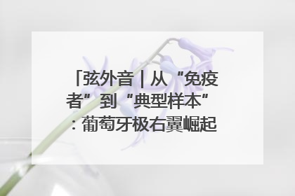 弦外音｜从“免疫者”到“典型样本”：葡萄牙极右翼崛起背后的欧洲困局