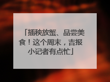 插秧放蟹、品尝美食！这个周末，吉报小记者有点忙