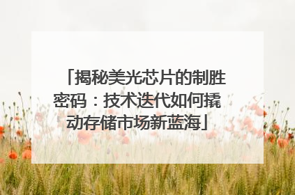 揭秘美光芯片的制胜密码：技术迭代如何撬动存储市场新蓝海