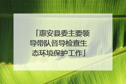 惠安县委主要领导带队督导检查生态环境保护工作