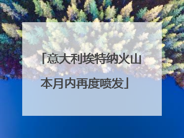 意大利埃特纳火山本月内再度喷发