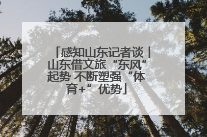 感知山东记者谈丨山东借文旅“东风”起势 不断塑强“体育+”优势