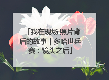 我在现场·照片背后的故事｜多哈世乒赛：镜头之后