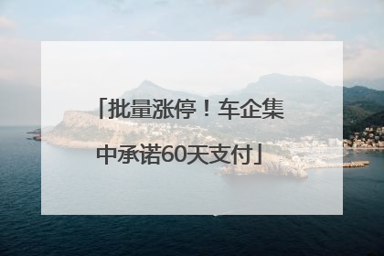 批量涨停！车企集中承诺60天支付