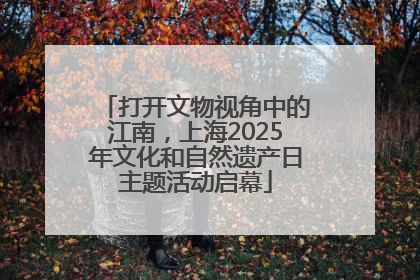 打开文物视角中的江南，上海2025年文化和自然遗产日主题活动启幕