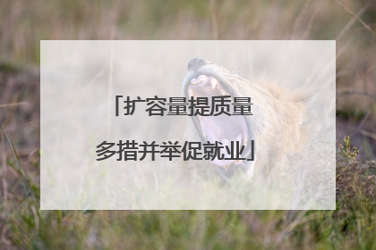 扩容量提质量 多措并举促就业