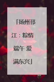 扬州邗江：粽情端午 爱满东兴