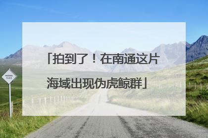 拍到了！在南通这片海域出现伪虎鲸群