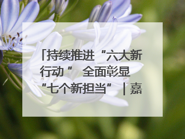 持续推进“六大新行动 ” 全面彰显“七个新担当”｜嘉禾县：加快铸造行业提档升级 助力绿色高质量发展