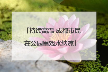 持续高温 成都市民在公园里戏水纳凉