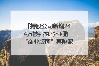 持股公司新增244万被强执 李亚鹏“商业版图”再陷泥潭？｜科技观察