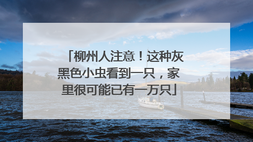 柳州人注意！这种灰黑色小虫看到一只，家里很可能已有一万只