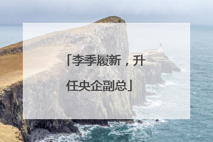 李季履新，升任央企副总
