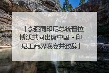 李强同印尼总统普拉博沃共同出席中国－印尼工商界晚宴并致辞