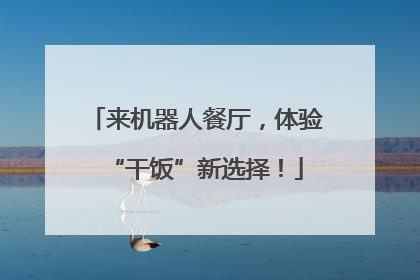 来机器人餐厅，体验“干饭”新选择！