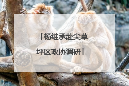 杨继承赴尖草坪区政协调研
