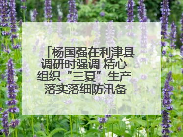 杨国强在利津县调研时强调 精心组织“三夏”生产 落实落细防汛备汛工作