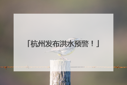 杭州发布洪水预警！
