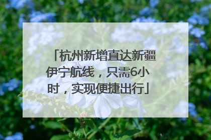杭州新增直达新疆伊宁航线，只需6小时，实现便捷出行
