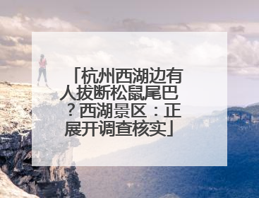 杭州西湖边有人拔断松鼠尾巴？西湖景区：正展开调查核实
