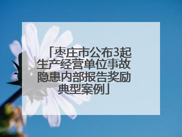 枣庄市公布3起生产经营单位事故隐患内部报告奖励典型案例